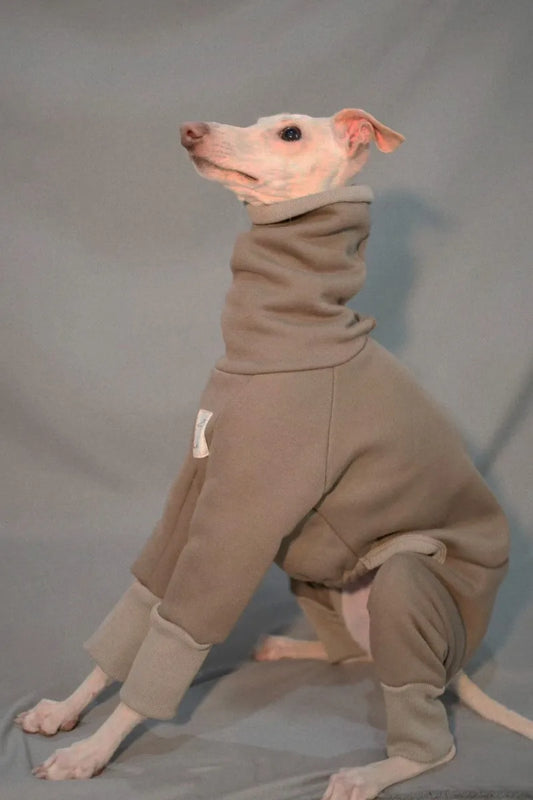Roupa Pet Para Galgo Com Estilo Minimalista E Manga Longa