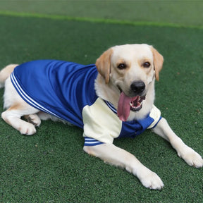 Jaqueta de Inverno Uniforme de Beisebol