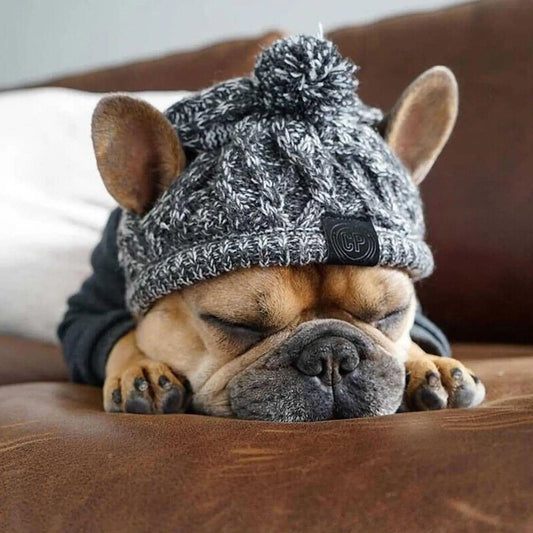 Gorro Para Cachorro Em Tricô Com Pompom E Protetor De Orelhas