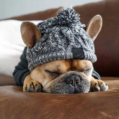 Gorro Para Cachorro Em Tricô Com Pompom E Protetor De Orelhas