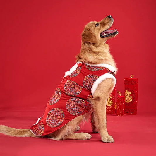 Roupa Pet Luxo Oriental com Forro Quentinho