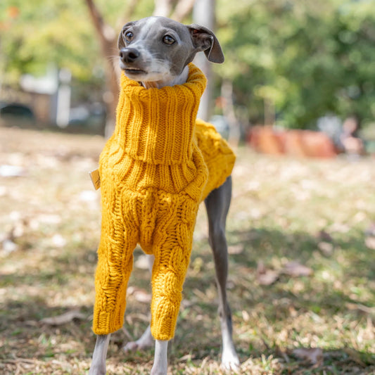 Roupinha De Tricô Para Cachorro Galgo - Jazz R - ROUPA - 97