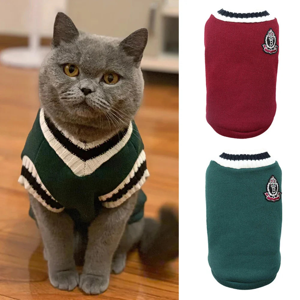 Moletom Universitario Para Gatos - Chill R - ROUPA - 86