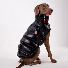 Colete Térmico para Pets com Proteção Contra o Frio