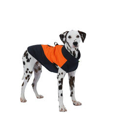 Colete Impermeável e Refletivo para Cães no Frio — Boreal
