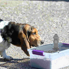Hidrante Poste Sanitário para Cães - FirePee Cinza / 13 Cm X 6 Cm X 4 Cm A - Hidrante - 01