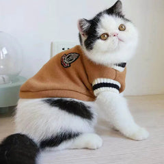 Suéter de Tricô Listrado para Gatos e Cães — Varsity