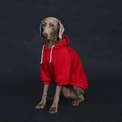 Moletom Casual com Capuz para Cachorro Grande com Bolso Frontal