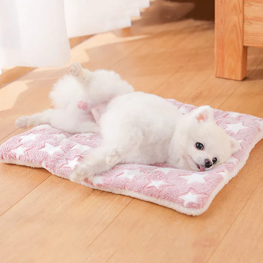 Cobertor de Lã Macia Para Cachorro - Madden C - CAMA - 57 RR