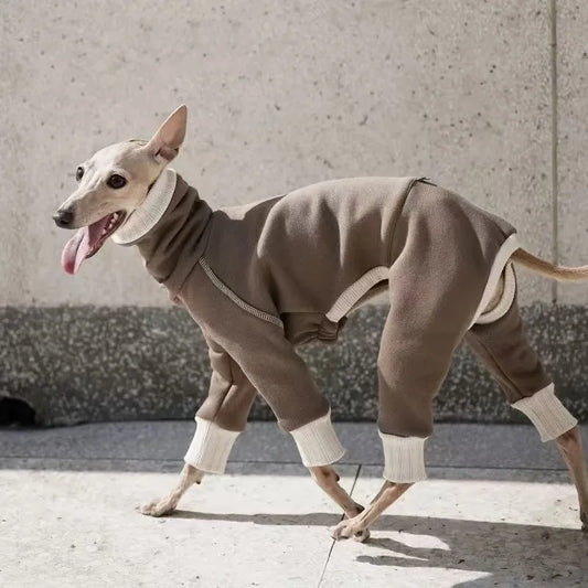 Roupa Térmica Canina com Forro Acolchoado – Proteção Total no Frio