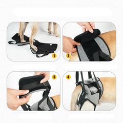 Suporte Ortopédico para Cães com Mobilidade Reduzida