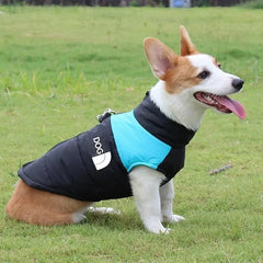 Jaqueta Softshell para Cães Grandes com Design Bicolor e Refletivos