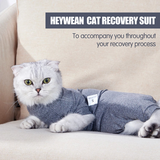 Roupa de Recuperação Pet Anatômica para Pós-Cirurgia ou Castração