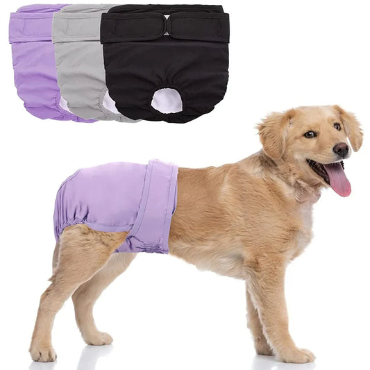 Fraldas Reutilizáveis de Alta Absorção para Pet A - FRALDA - 02