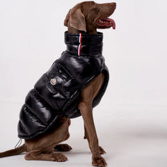 Colete Térmico para Pets com Proteção Contra o Frio