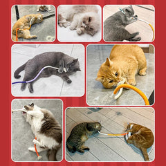 Brinquedo Interativo para Gatos - MolarFun B - BRINQUEDO - 06
