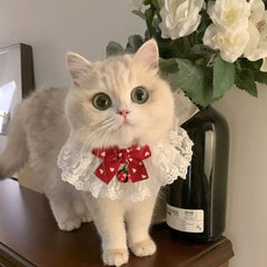 Colar Para Gatos Em Renda Com Laço De Cetim Estilo Clássico
