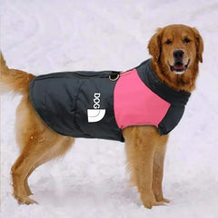 Jaqueta Softshell para Cães Grandes com Design Bicolor e Refletivos