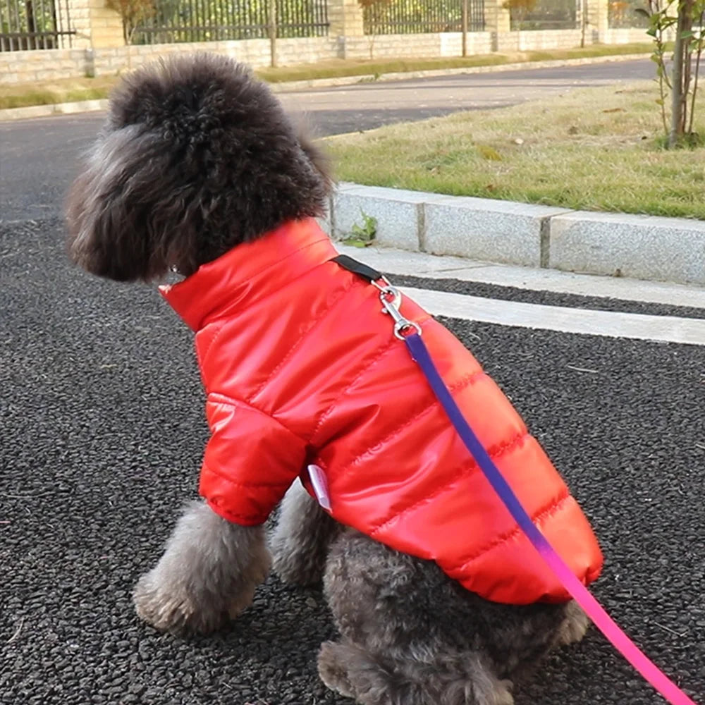 Jaqueta Grossa Para Cachorro - Duke R - ROUPA - 32