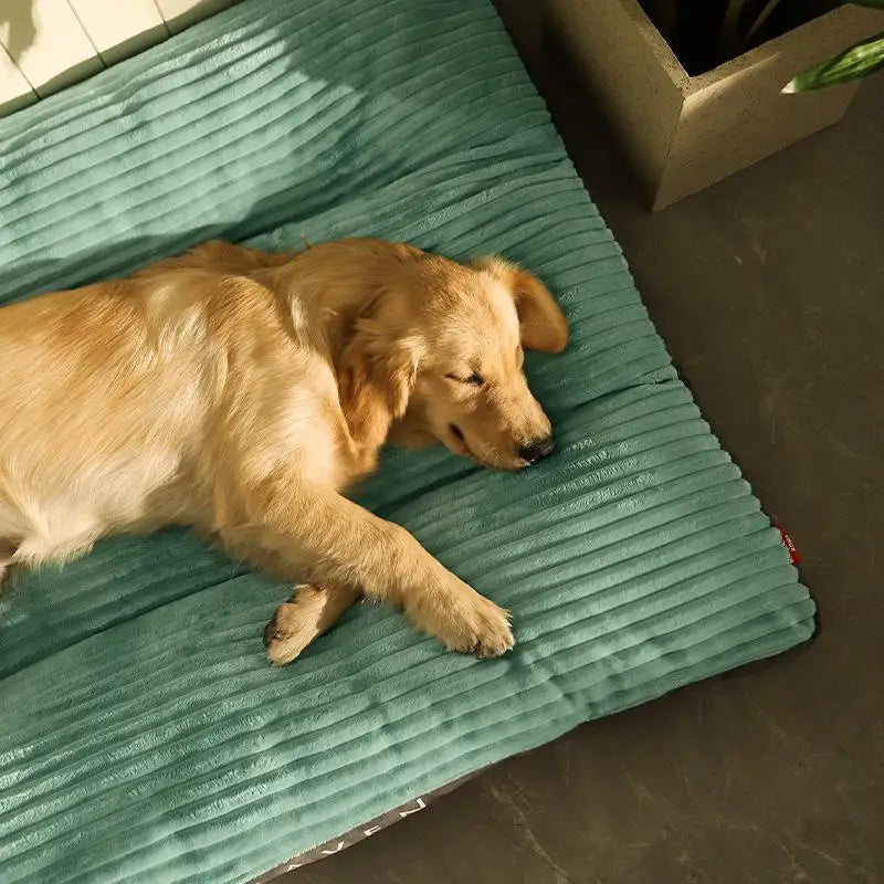 Cama de Veludo Para Cães - Savannah