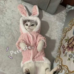 Fantasia Pet de Coelho com Orelhas 3D Pelúcia Rosa Super Macia