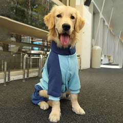 Roupa Casual Pet em Estilo Moletom