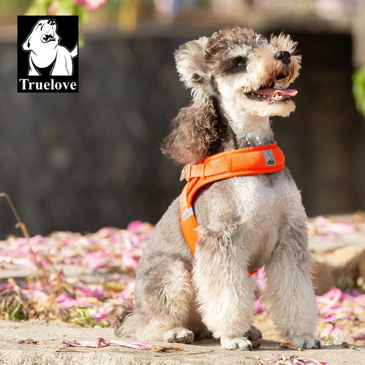 Peitoral Ajustável para Cães Luna LN3013 C - COLEIRA - 16