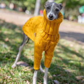 Roupinha De Tricô Para Cachorro Galgo - Jazz