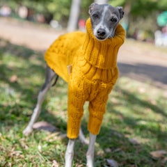 Roupinha De Tricô Para Cachorro Galgo - Jazz R - ROUPA - 97