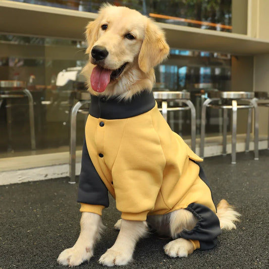 Roupa Casual Pet em Estilo Moletom
