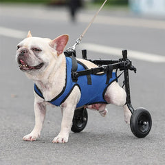 Cadeira de Rodas Para Cachorro - Aid Car S - CADEIRA DE RODA - 01