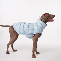 Colete Térmico para Pets com Proteção Contra o Frio