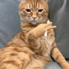 Dedinho de Borracha para Gato Interagir
