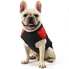 Jaqueta Softshell para Cães Grandes com Design Bicolor e Refletivos