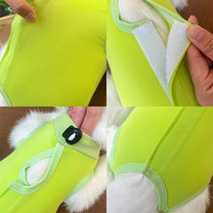 Roupa Pós-Cirúrgica para Gatos Colorida Confortável e Respirável