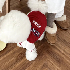 Jaqueta College para Pets Estilo New York 1988