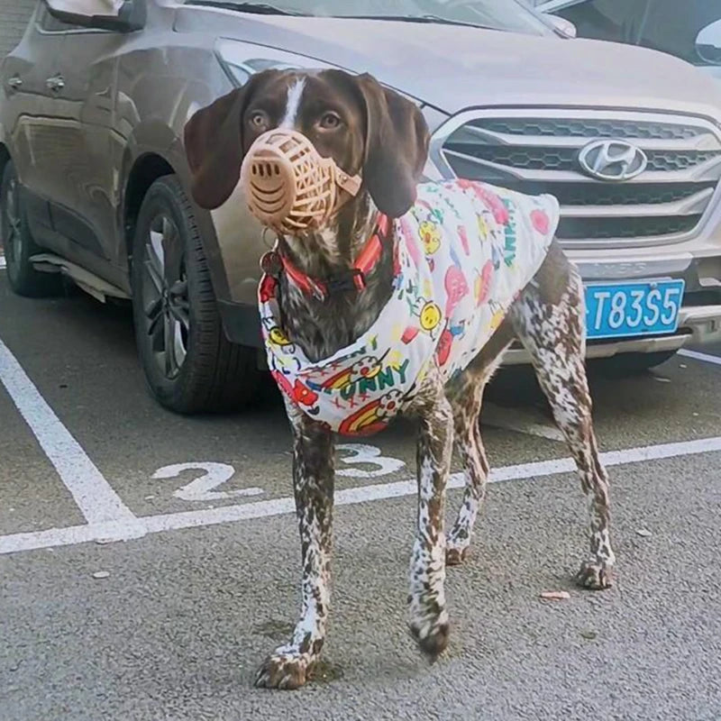 Roupa Estampada para Cachorro com Suporte para Guia