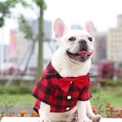 Camiseta Xadrez Com Gravata Para Pet - Max R - ROUPA - 73 DY