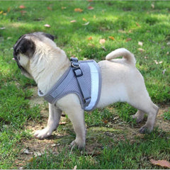 Guia com Peitoral Respirável para Cachorro C - GUIA - 07