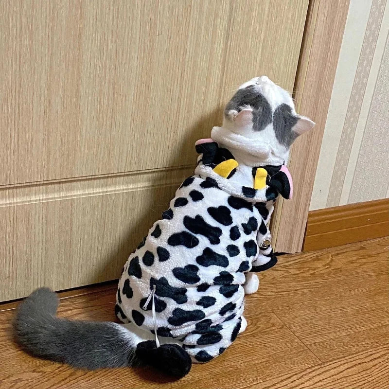 Cow