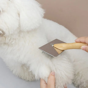 Pente Rasqueadeira para Cachorro - Rasco