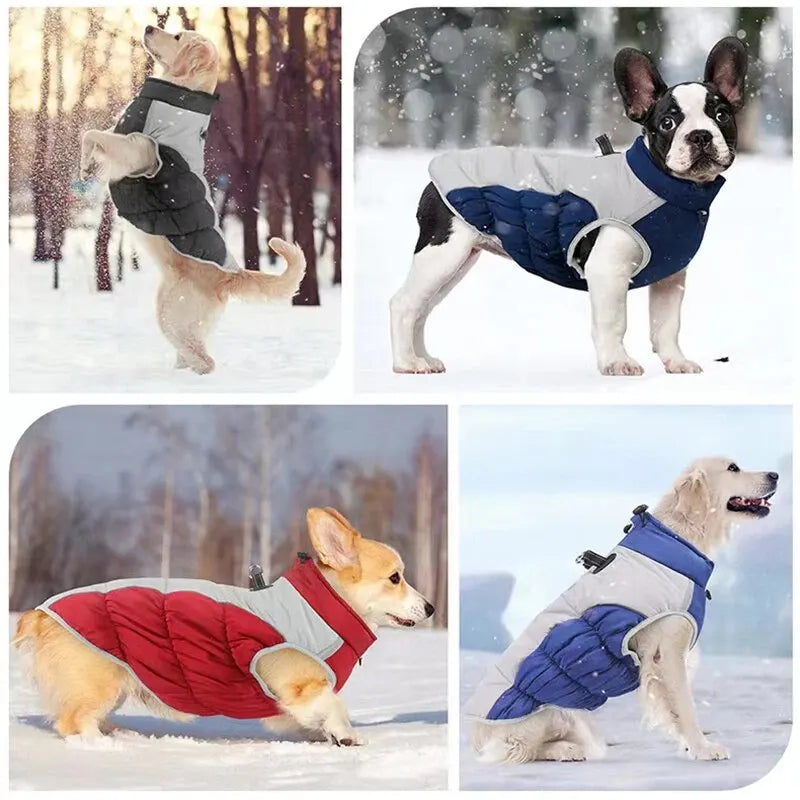 Casaco Para Cachorro Grande Com Suporte - Tita R - ROUPA - 93