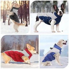 Casaco Para Cachorro Grande Com Suporte - Tita R - ROUPA - 93