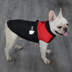 Jaqueta Softshell para Cães Grandes com Design Bicolor e Refletivos