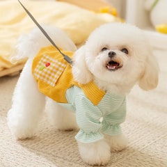 Roupa Pet Estilo Jardineira Colorida com Detalhes em Patchwork Fofo