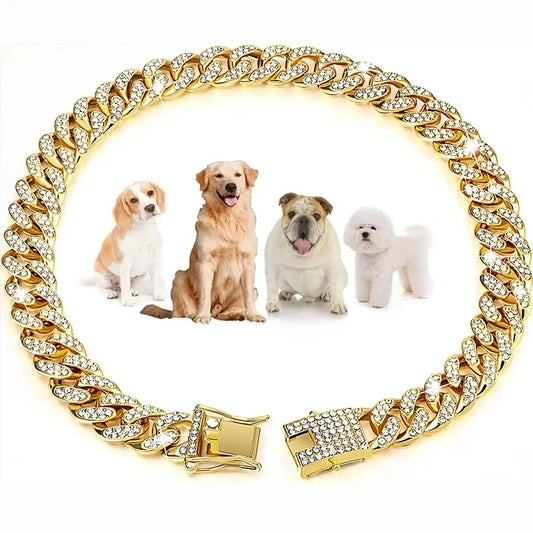Coleira para Cachorro Dourada e Brilhante C - COLEIRA COLAR - 02