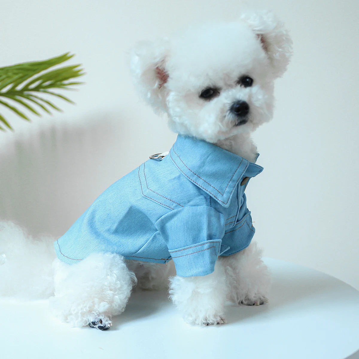 Camisa Jeans Para Cachorro - Molly