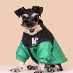 Jaqueta Softshell Pet para Cães e Gatos com Logo NB e Ajuste Anatômico