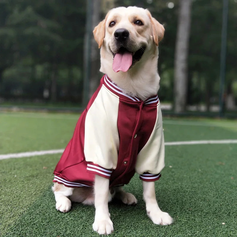 Jaqueta de Inverno Uniforme de Beisebol