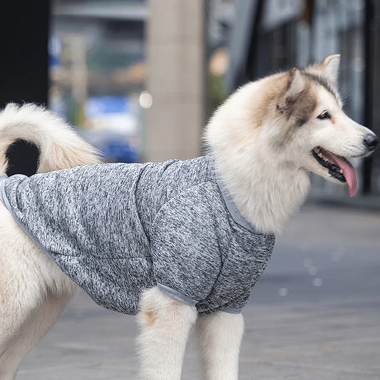 Roupa Pet com Visual Elegante e Quentinho – Tecido Respirável